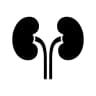 Kidney Health