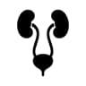 Urinary Health