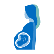 Gynecologist icon